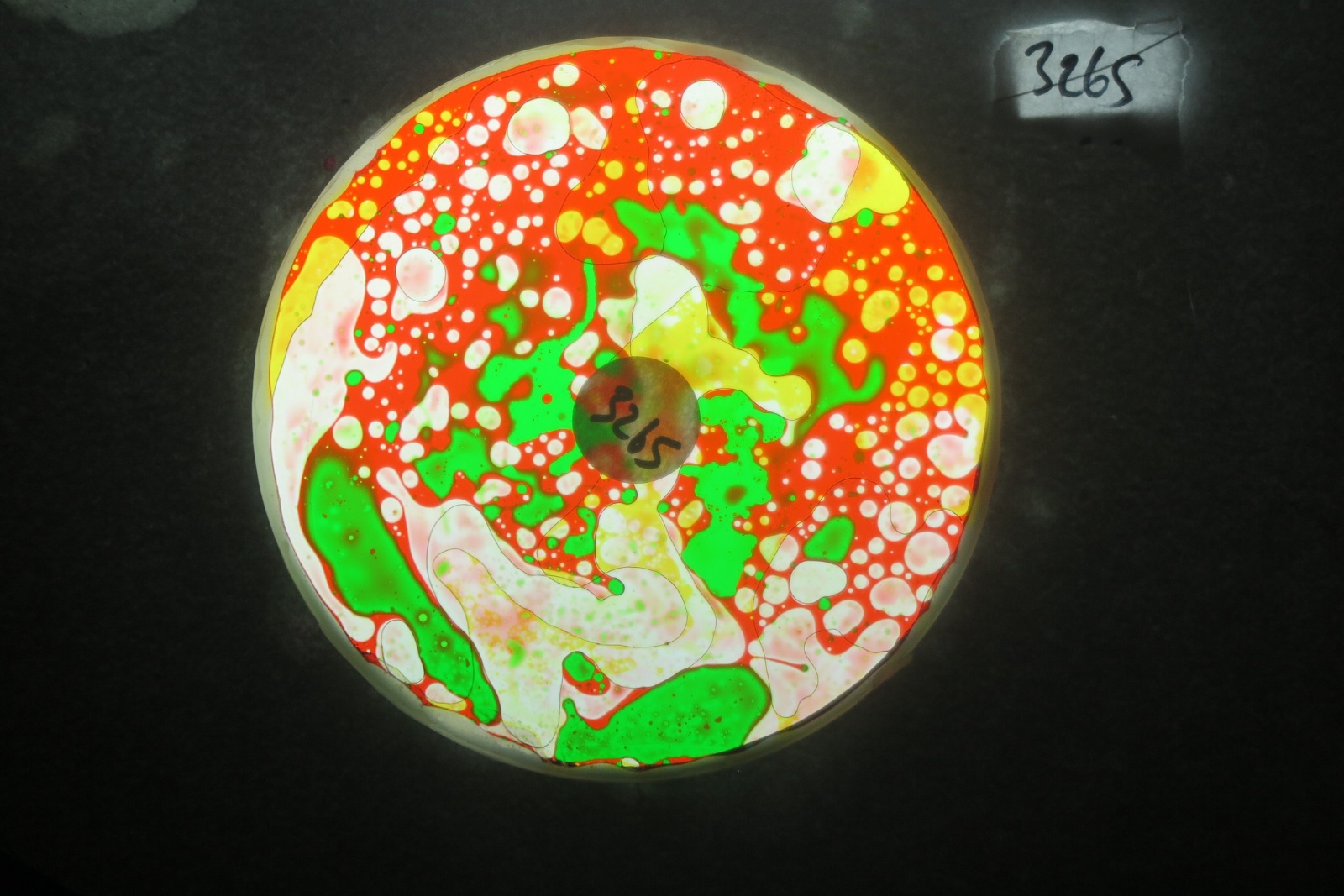 BV3265 bubble vision oil wheel